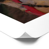 Camelgezichten Poster (Hoek)