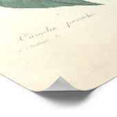 Camelia Canvas afdrukken Poster (Hoek)