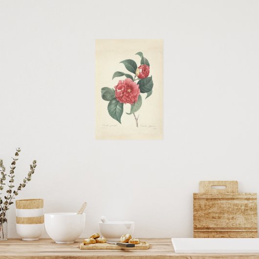 Camelia Canvas afdrukken Poster (Keuken)
