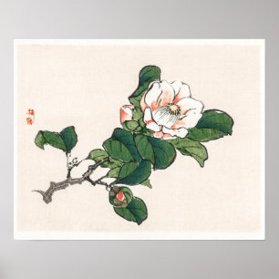 Camelia door Kono Bairei (1844-1895) Poster