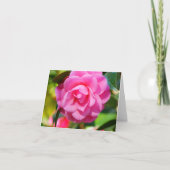 Camelia Kaart (Voorkant)