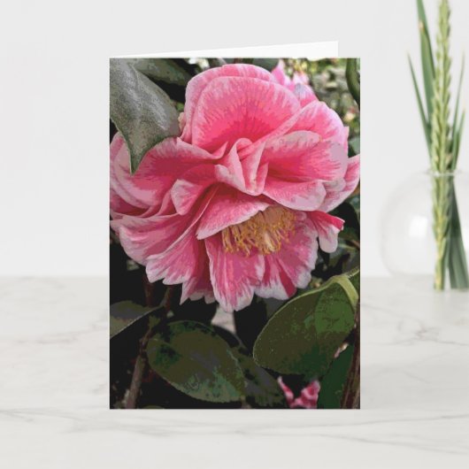 Camelia Kaart (Voorkant)