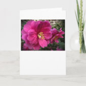 Camelia, kaart (Voorkant)