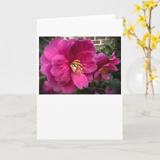 Camelia, kaart (Gele Bloem)