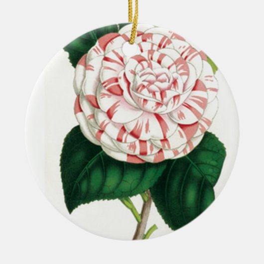 Camelia Keramisch Ornament (Voorkant)