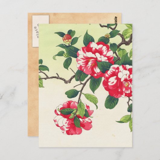 Camelia Nishimura Hodo ukiyo-e bloemen kunst Briefkaart (Voorkant / Achterkant)