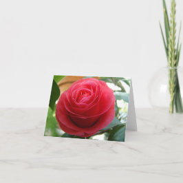 Camelia Notecard Kaart