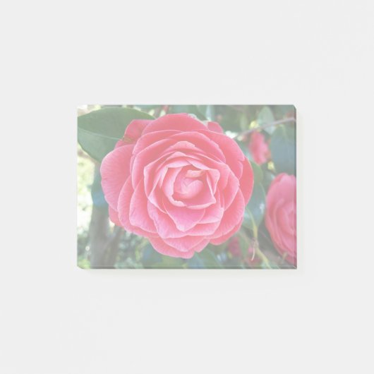 camelia Notities Post-it® Notes (Voorkant)