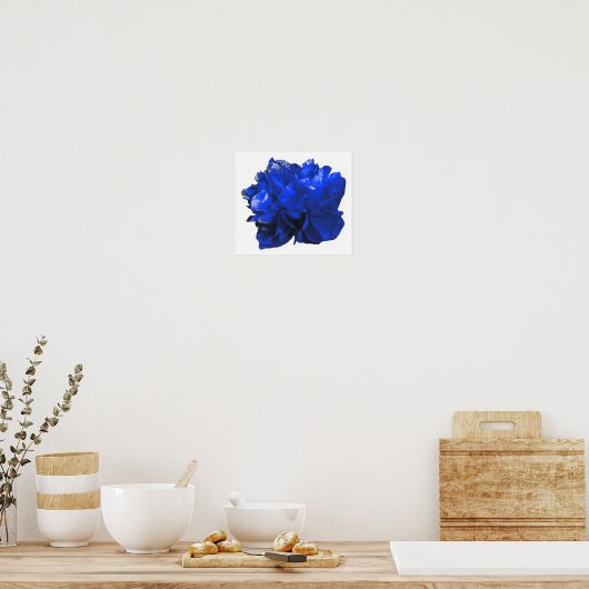 Camelia Pop Blue Poster (Keuken)