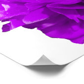 Camelia Pop Paars Poster (Hoek)