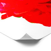 Camelia Pop Red Poster (Hoek)