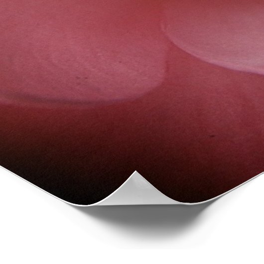 Camelias 4 poster (Hoek)