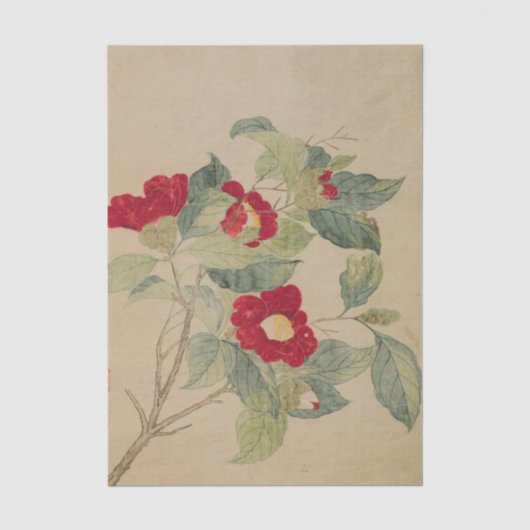 Camelia's door Ma Yuanyu Tissuepapier (Voorkant)