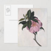 Camellia 1998 briefkaart (Voorkant / Achterkant)