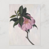 Camellia 1998 briefkaart (Voorkant)