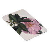 Camellia 1998 magneet (Rechterzijde)