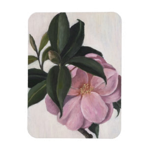 Camellia 1998 magneet