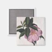 Camellia 1998 magneet (Voorkant / Achterkant)