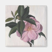 Camellia 1998 magneet (Voorkant)