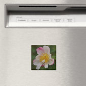 Camellia Bloem Magneet (Insitu (Vaatwasser))