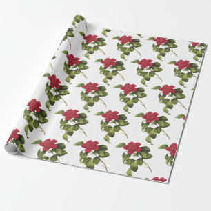 Camellia Bloem Patroon Cadeaupapier