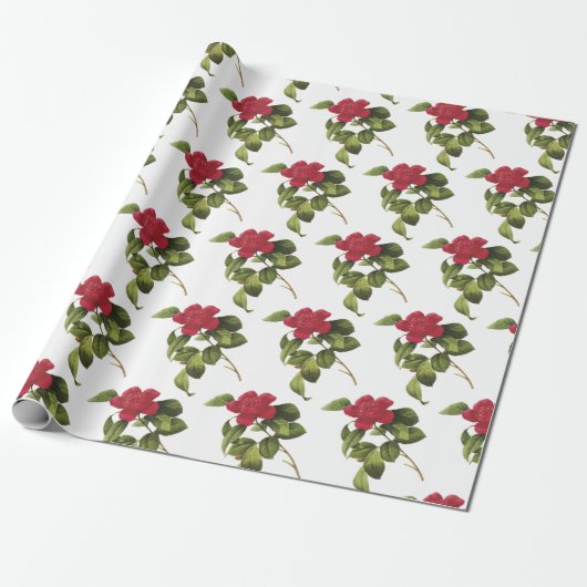 Camellia Bloem Patroon Cadeaupapier (Uitgerold)