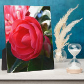 Camellia bloesem fotoplaat (Zijkant)