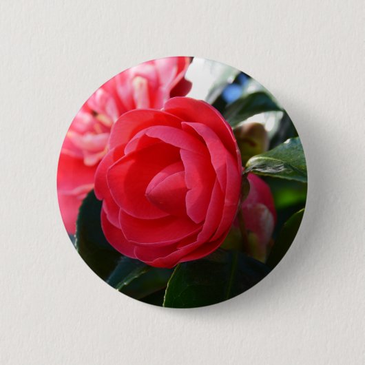 Camellia Blossom Ronde Button 5,7 Cm (Voorkant)