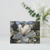 Camellia Blosson Briefkaart (Staand voorkant)