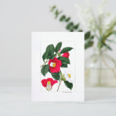 Camellia bord: Yamatsubaki Briefkaart (Staand voorkant)