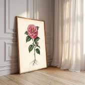 Camellia Botanische Muurkunst Canvasprint Poster