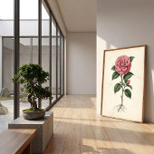 Camellia Botanische Muurkunst Canvasprint Poster