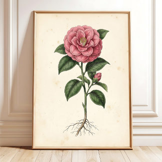 Camellia Botanische Muurkunst Canvasprint Poster