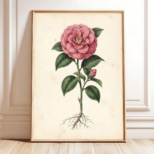 Camellia Botanische Muurkunst Canvasprint Poster