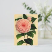  camellia briefkaart (Staand voorkant)