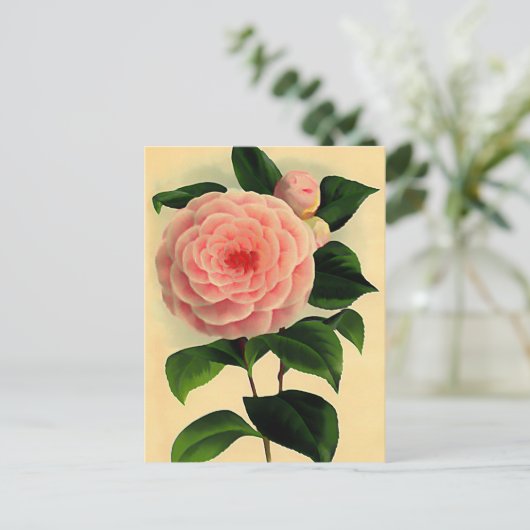camellia briefkaart (Staand voorkant)
