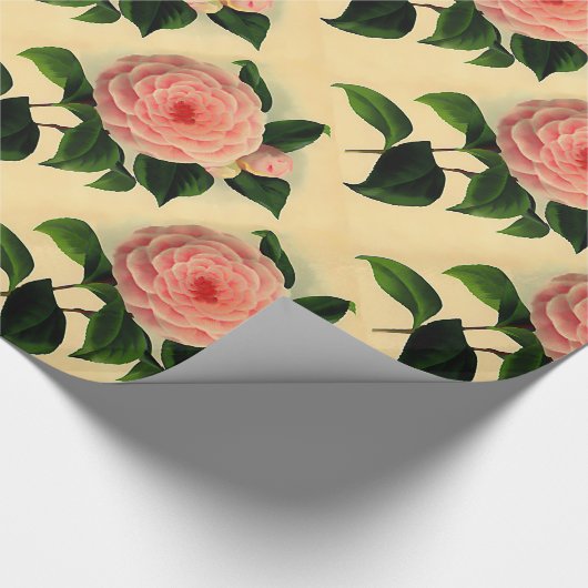  camellia cadeaupapier (Hoek)