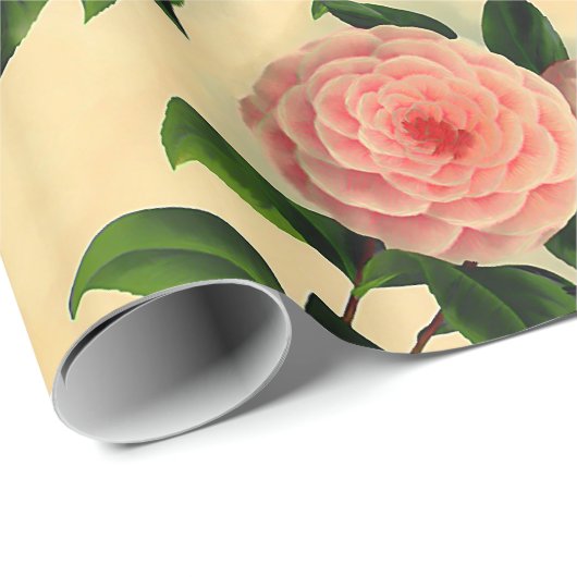  camellia cadeaupapier (Rol Hoek)