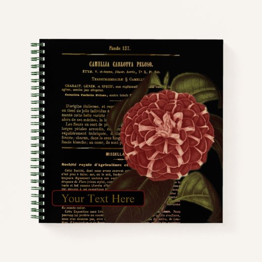 Camellia Carlotta Peloso Zwart Notitieboek (Voorkant)