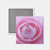 Camellia close-up magneet (Voorkant / Achterkant)