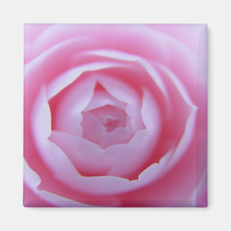 Camellia close-up magneet