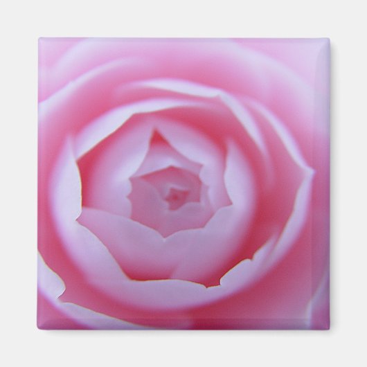 Camellia close-up magneet (Voorkant)