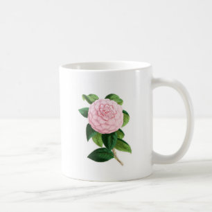 Camellia, Duchesse de Nassau Koffiemok