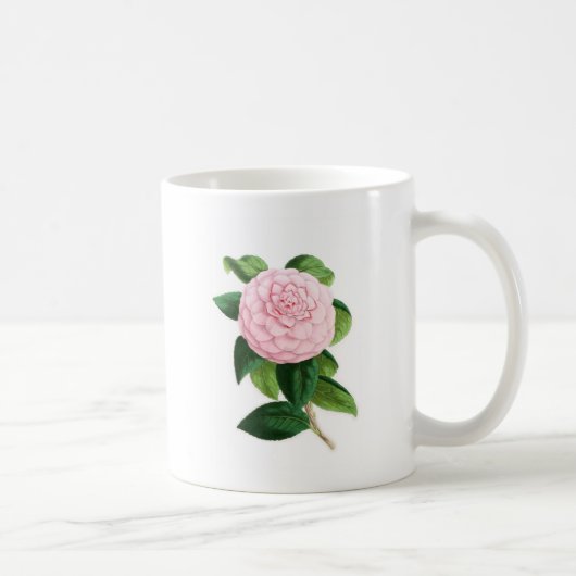 Camellia, Duchesse de Nassau Koffiemok (Rechts)