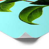  Camellia Flower Poster (Hoek)