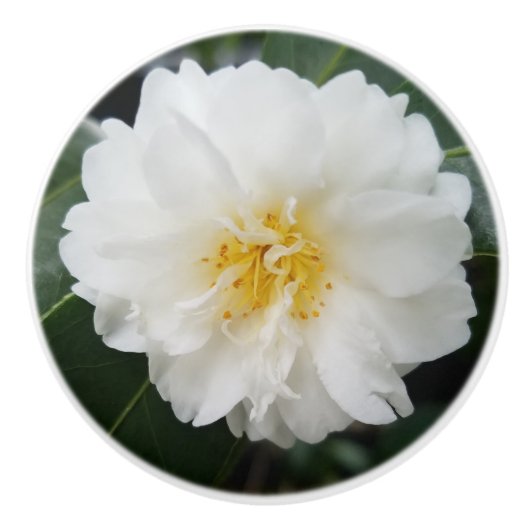 Camellia Flower Round Keramische Knop (Voorkant)