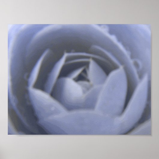 Camellia Frozen Beauty Print (Voorkant)