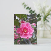 Camellia in het Briefkaart Park (Staand voorkant)