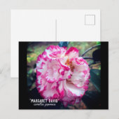 Camellia Japonica Pink Floral Briefkaart (Voorkant / Achterkant)