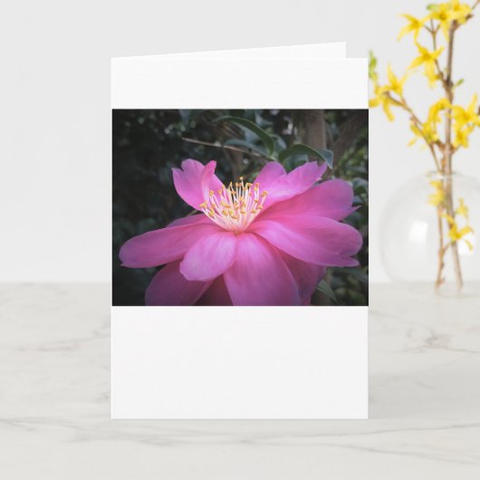 Camellia, kaart (Gele Bloem)